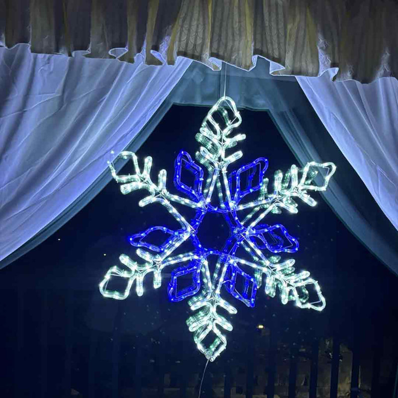Blue and white snowflake lights cheap